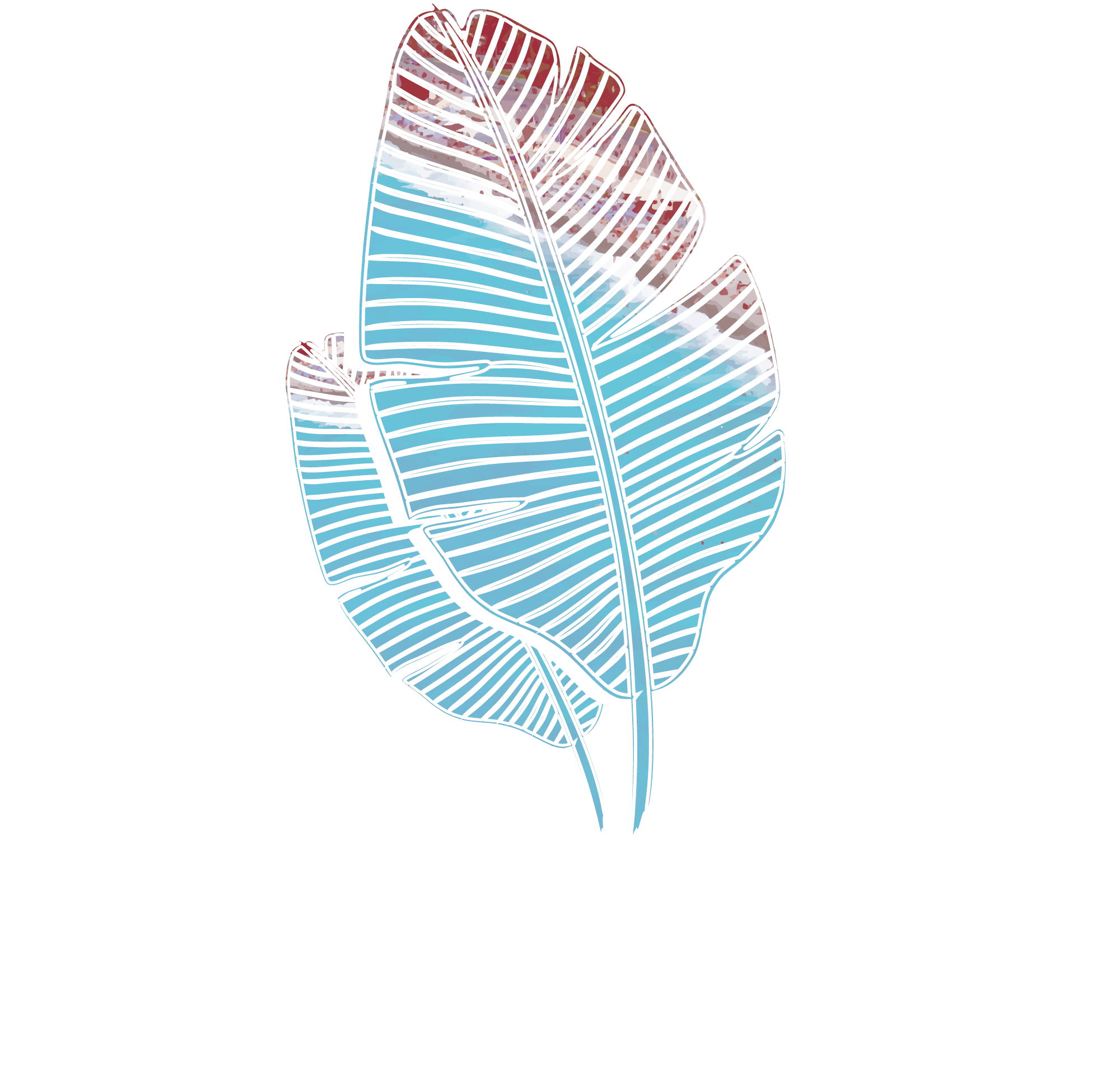 Endo Nice