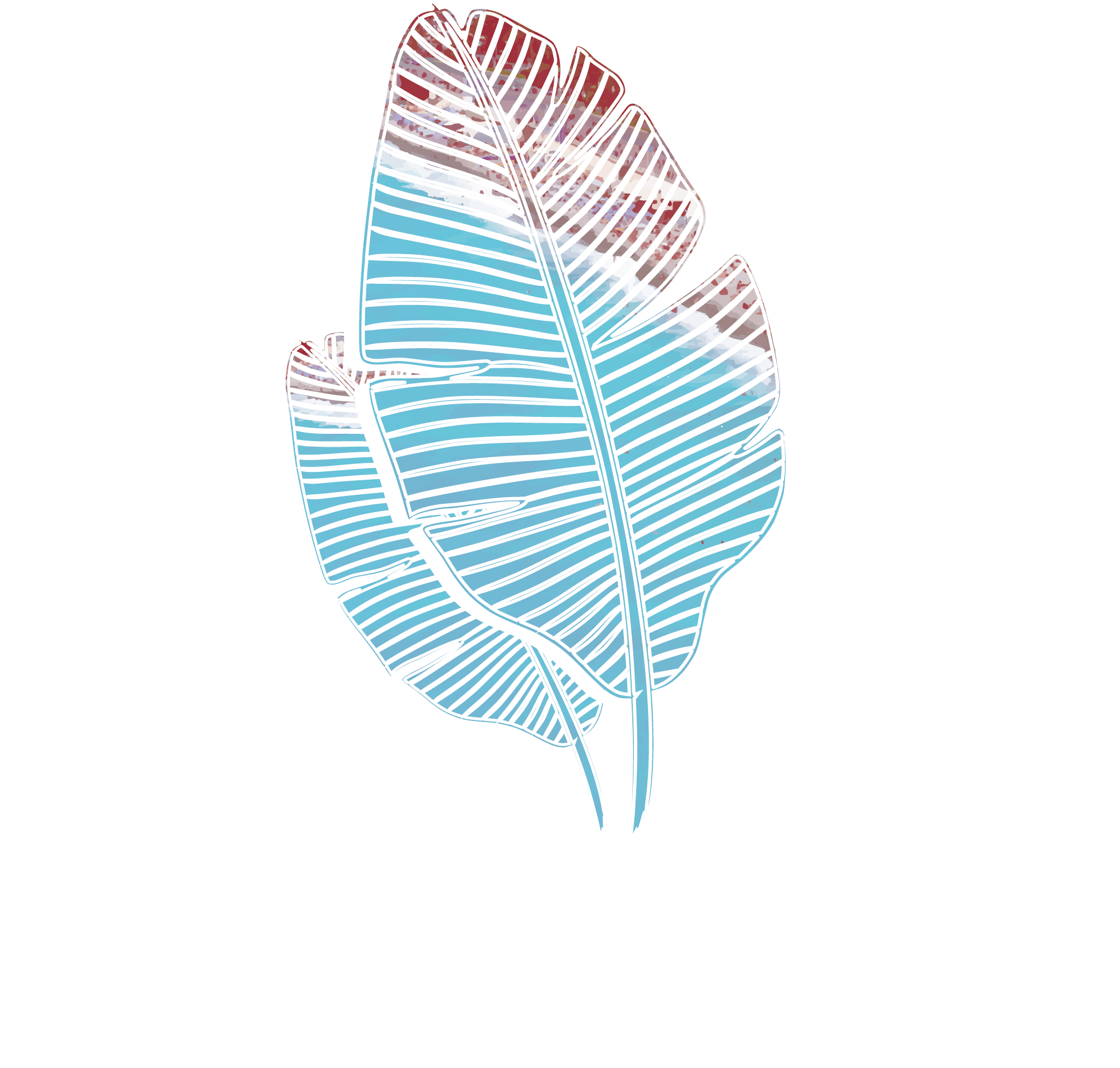 Endo Nice